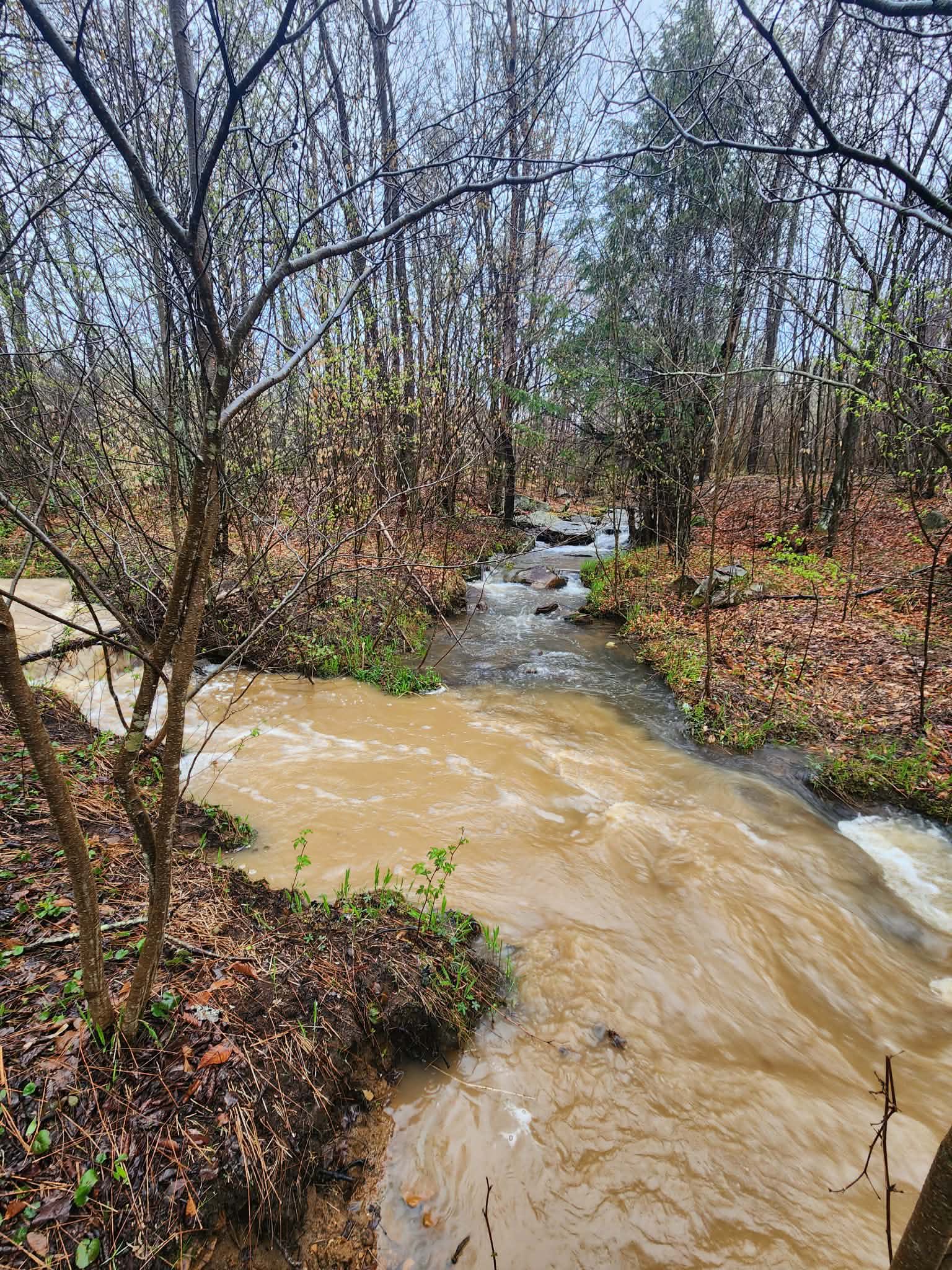 Sediment runoff from Clermont Solar entering Smith Run